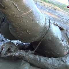 muddybondage1_1500831820_uid_35094_51835