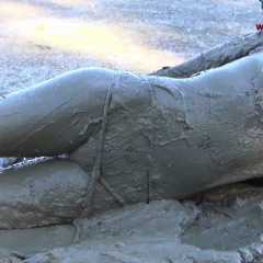 muddybondage3_1500831820_uid_35094_10710