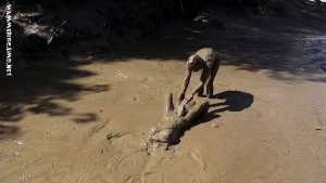 ariel-aids-jaycetoy-in-mud-pudding-for-o