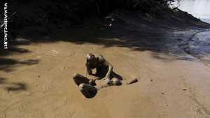 ariel-aids-jaycetoy-in-mud-pudding-for-o