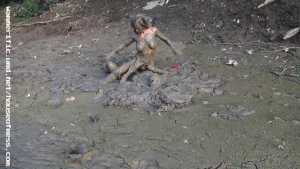 girls-just-wanna-have-mud-in-hunters-pub