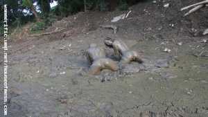 girls-just-wanna-have-mud-in-hunters-pub