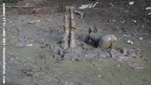 girls-just-wanna-have-mud-in-hunters-pub