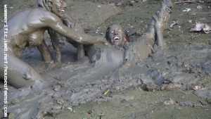 girls-just-wanna-have-mud-in-hunters-pub