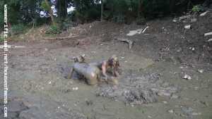 girls-just-wanna-have-mud-in-hunters-pub