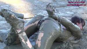 hogtied-tight-and-ballgagged-shoved-in_1