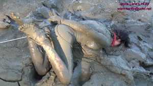 hogtied-tight-and-ballgagged-shoved-in_1
