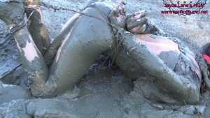 hogtied-tight-and-ballgagged-shoved-in_7